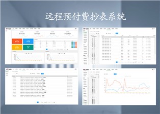 遠(yuǎn)程預(yù)付費(fèi)抄表系統(tǒng)的原理是什么呢？—老王說(shuō)表