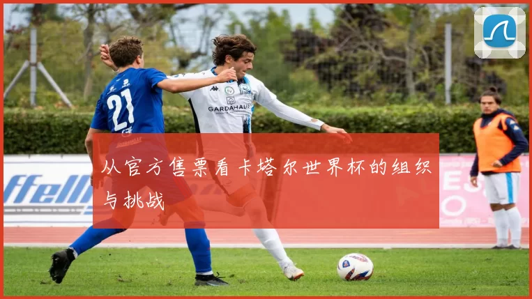从官方售票看卡塔尔世界杯的组织与挑战