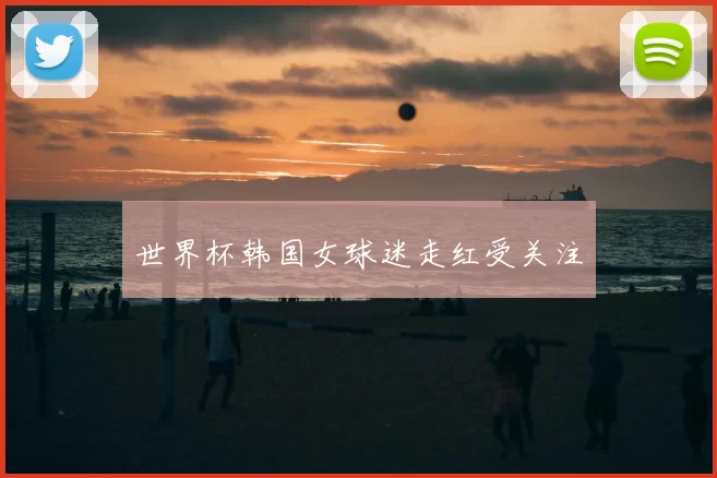 世界杯韩国女球迷走红受关注