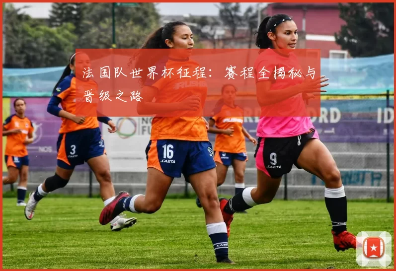 法国队世界杯征程:赛程全揭秘与晋级之路