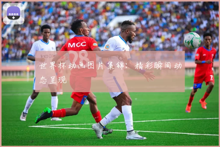 世界杯动画图片集锦：精彩瞬间动态呈现