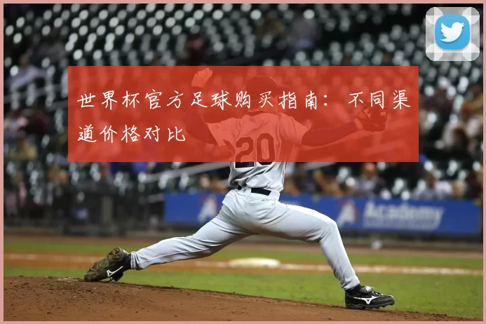 世界杯官方足球购买指南:不同渠道价格对比