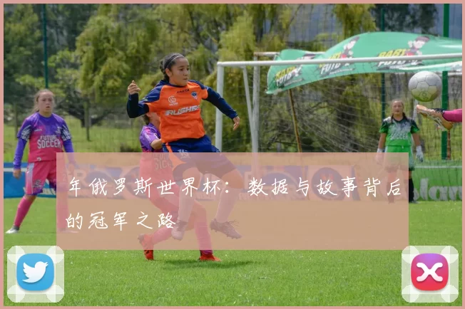 年俄罗斯世界杯:数据与故事背后的冠军之路