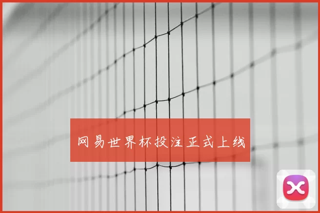 网易世界杯投注正式上线