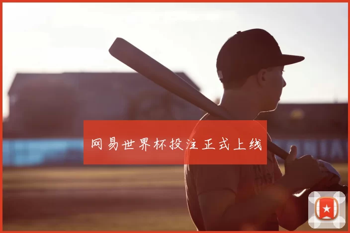 网易世界杯投注正式上线