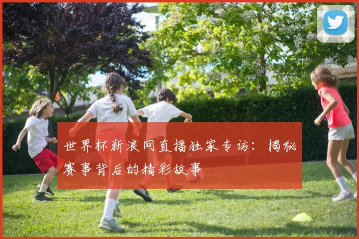 世界杯新浪网直播独家专访:揭秘赛事背后的精彩故事