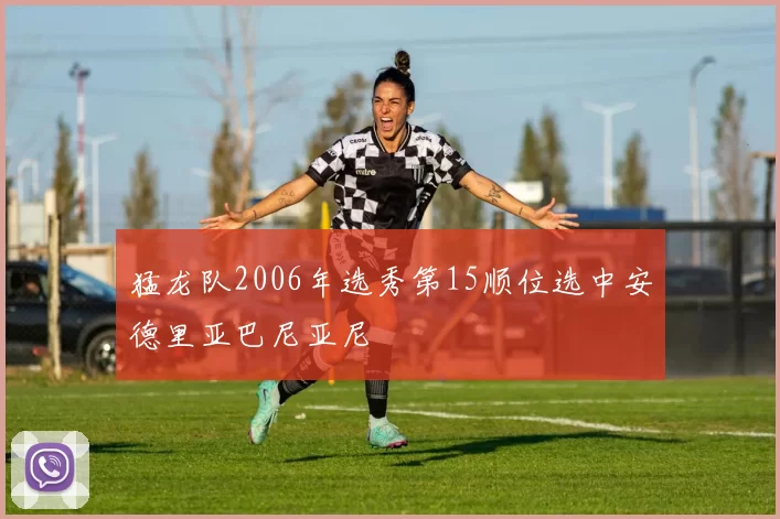 猛龙队2006年选秀第15顺位选中安德里亚巴尼亚尼