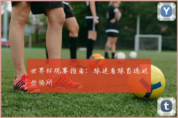 世界杯观赛指南：球迷看球首选这些场所