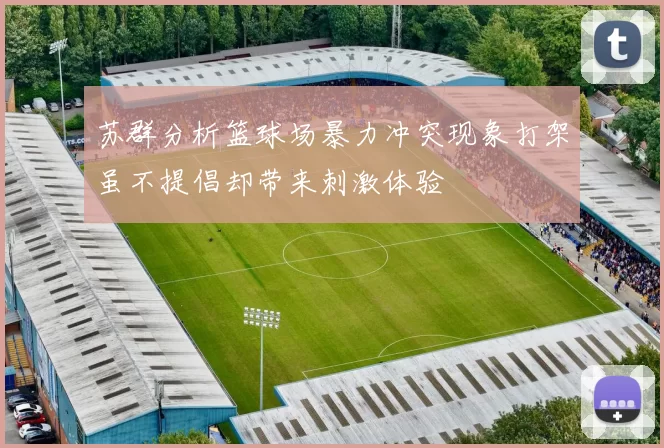 苏群分析篮球场暴力冲突现象打架虽不提倡却带来刺激体验