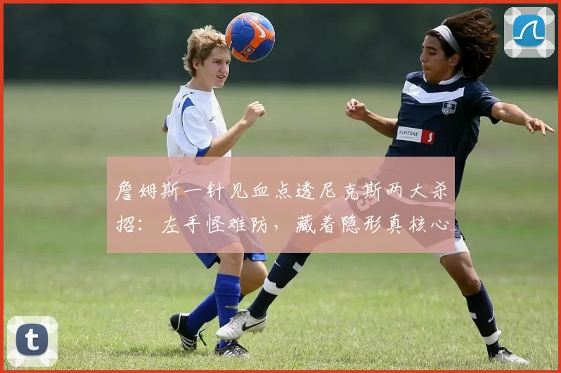 詹姆斯一针见血点透尼克斯两大杀招：左手怪难防，藏着隐形真核心