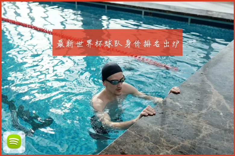 最新世界杯球队身价排名出炉
