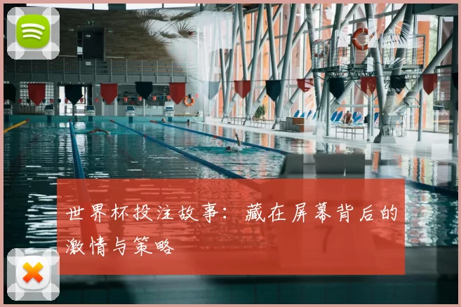 世界杯投注故事：藏在屏幕背后的激情与策略