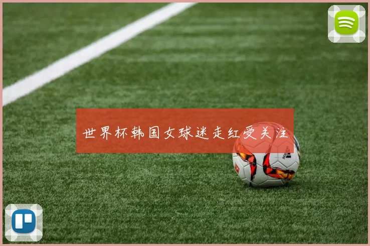 世界杯韩国女球迷走红受关注